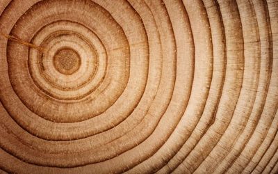 El “Círculo dorado” de Simon Sinek